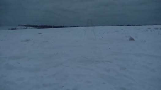 ✨❄️ Únorová balada – AI ve stopách Erbena! ❄️✨