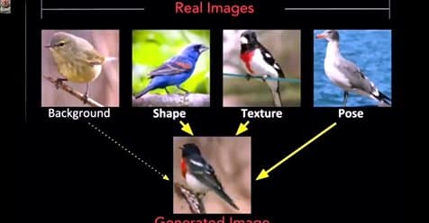 Take a Look at MixNMatch