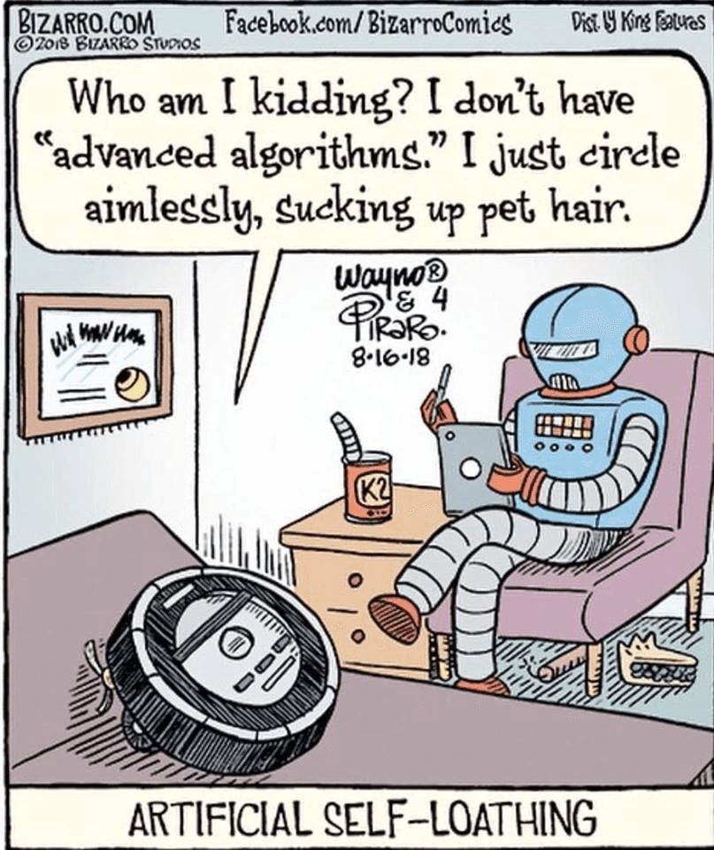 What am I kidding myself about? I don't have any 'advanced algorithms'. I'm just aimlessly circling and vacuuming up pet hair.