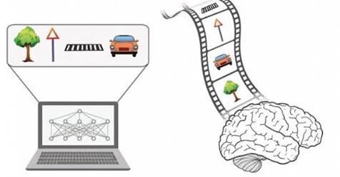 Israeli Scientists Develop a New Type of Neural Network!