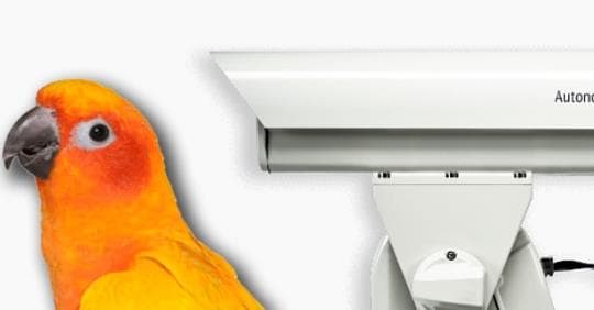 The Dutch Have Invented a Laser Cannon Against Birds, Controlled by Artificial Intelligence