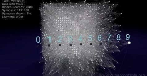 Úžasná 3D simulace neuronových sítí
