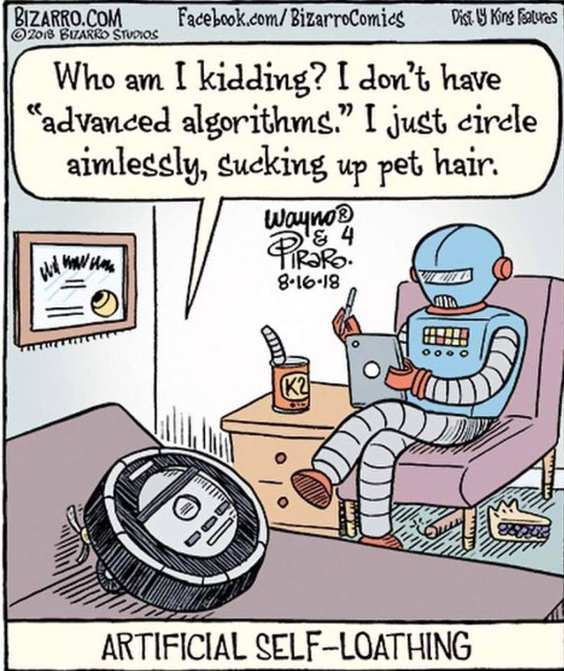 What am I kidding myself about? I don't have any 'advanced algorithms'. I'm just aimlessly circling and vacuuming up pet hair.