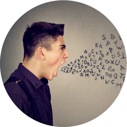 By tomorrow (31.12.2018) you can compete to catch our detector of insults and toxic words