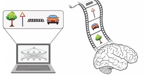 Israeli Scientists Develop a New Type of Neural Network!